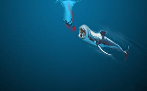 Обои Подводный мир Акулы