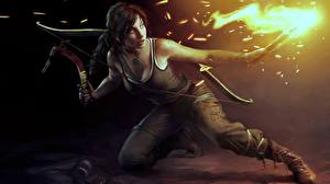 Обои Tomb Raider Tomb Raider 2013