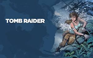 Картинки Tomb Raider Tomb Raider 2013