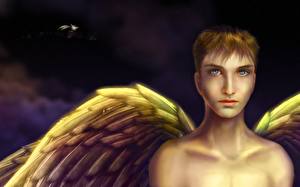 Картинка Ангелы Крылья