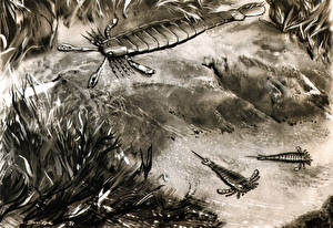 Картинки Древние животные Подводные Древние животные Птериготус и эвриптерус животное