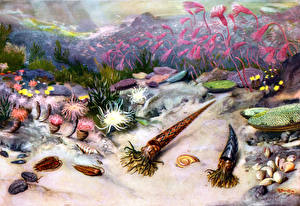 Обои Древние животные Подводные Древние животные Силурийское море