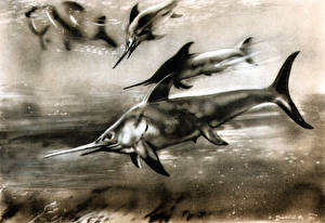 Фотография Древние животные Подводные Древние животные Эвринозавр