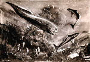 Картинки Древние животные Подводные Древние животные Динихтис и кладоселахии Животные