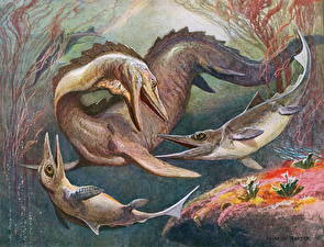 Фотография Древние животные Подводные Древние животные