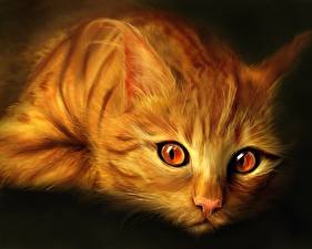 Фотографии Кошка Рисованные Животные