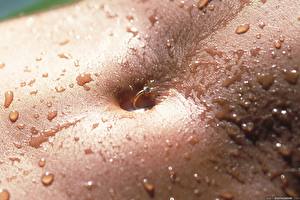 Картинка Крупным планом Капли Живота молодые женщины