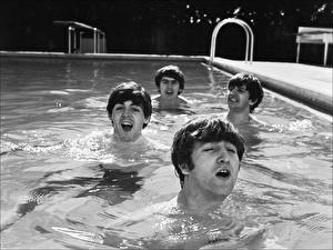 Фотография The Beatles Бассейны Плывут Ливерпульская четвёрка Музыка Знаменитости
