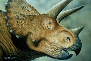 Картинки Древние животные Динозавры Трицератопсы Животные