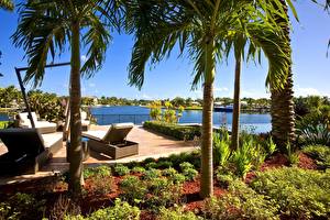 Фотографии Курорты Пальм город