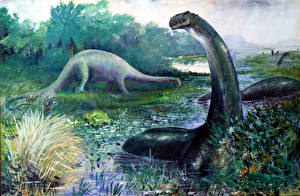 Фотография Древние животные Динозавр Brontosaurus Животные