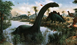 Фотография Древние животные Динозавр Brontosaurus