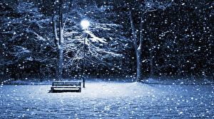 Фотография Сезон года Зимние Снега Скамейка Уличные фонари ночь, улица, фонарь Природа