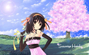 Картинки The Melancholy of Haruhi Suzumiya Аниме Девушки