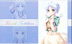 Фотография Angel Beats! Аниме Девушки