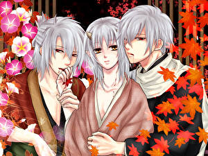 Фотографии Hakuouki Подросток Аниме