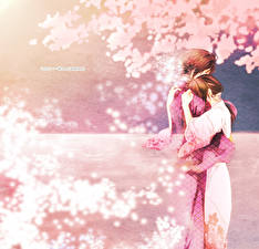 Фото Hakuouki Парень