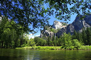Фотографии Парк США Йосемити Калифорния Природа