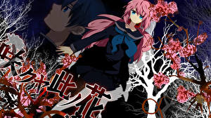 Фотография Вокалоид Аниме Девушки