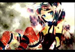 Обои Вокалоид Аниме Девушки