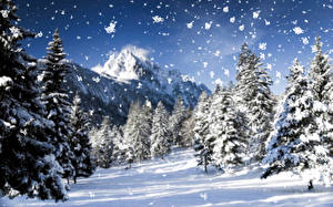 Картинка Времена года Зима Горы Снега Природа