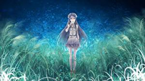 Фотографии Final Fantasy Final Fantasy XIII Девушки