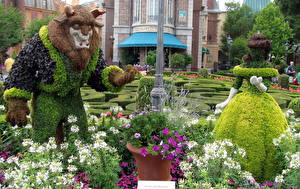 Фото Много Франция Парк Красавица и чудовище Walt Disney цветок Мультики