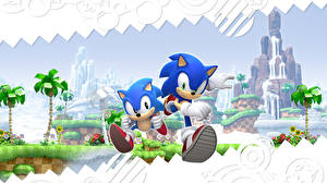 Фотографии Sonic Adventure компьютерная игра