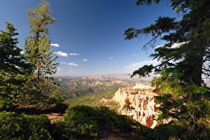 Фото Парк Каньон Bryce Canyon National Park [USA, Utah] Природа