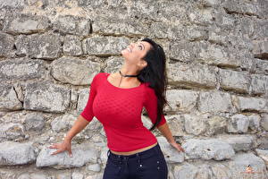 Обои Грудь Девушки