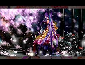 Фотографии Вокалоид Аниме