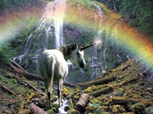 Картинка Волшебные животные Единороги Радуги под радугой