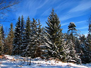 Картинки Времена года Зима Небо Снега Природа