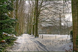 Картинка Времена года Зима Дороги Снега Нидерланды Природа