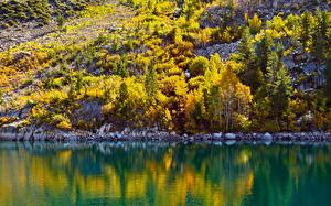 Картинка Озеро США Калифорнии Sabrina Природа