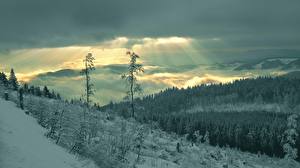 Фото Сезон года Зима Небо Снегу Лучи света Природа