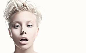 Обои муха на носу