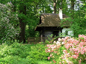 Обои Здания Чехия Praha город