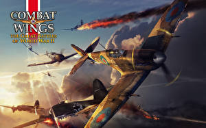Обои Combat Wings: The Great Battles of WWII Игры