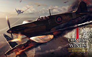 Картинки Combat Wings: The Great Battles of WWII Игры Авиация