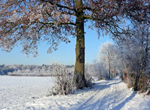 Фото Времена года Зима Дороги Снега Природа