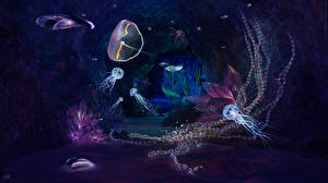 Картинки Подводный мир Медузы Животные