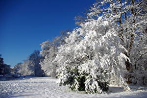 Картинки Сезон года Зима Небо Снег Франция, Велизи-Вилакубле Природа