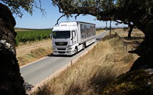 Обои для рабочего стола Грузовики MAN SE машина