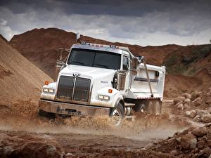 Обои Грузовики Western Star Trucks авто