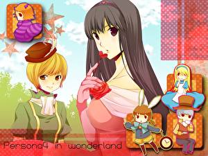 Обои Shin Megami Tensei Shin Megami Tensei 4 компьютерная игра Девушки