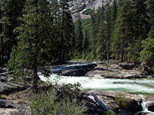 Фото Парки Реки Америка Йосемити Калифорния Tuolumne Природа