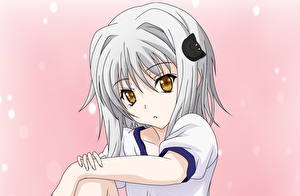 Картинки High School DxD Девушки