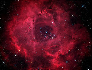 Фотография Туманности в космосе Звезды