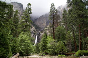 Обои Парк Водопады Штаты Йосемити Калифорния Lower Природа